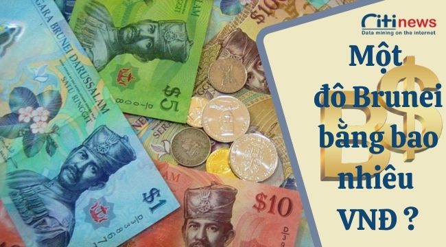 1 đô la Brunei bằng bao nhiêu tiền Việt Nam