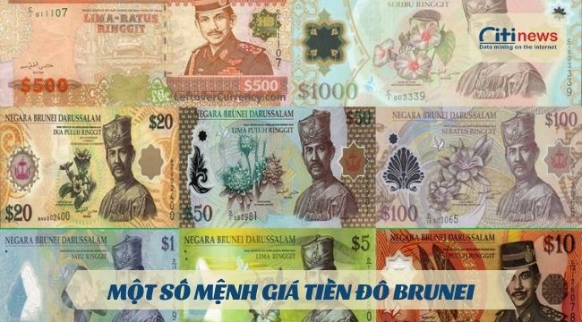 Một số mệnh giá đang lưu hành tại Brunei