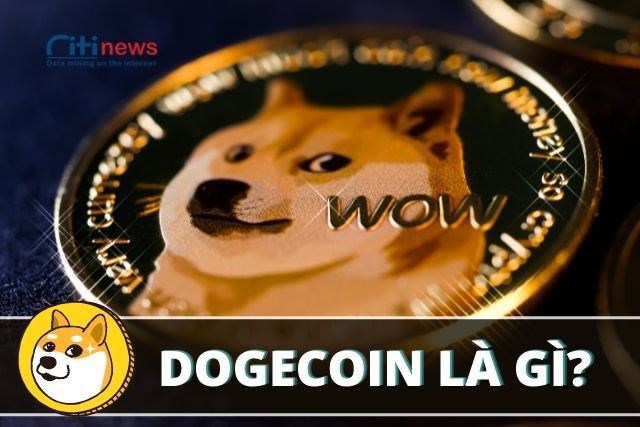 Dogecoin là gì & Tất tần tật thông tin về đồng DOGE – Citinews