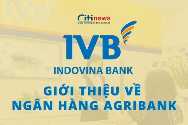 Giới thiệu về ngân hàng Indovina