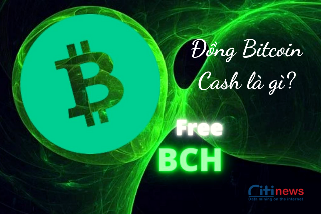 Thông tin về đồng tiền Bitcoin Cash