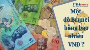 Chuyển đổi 1 đô la Brunei bằng bao nhiêu tiền Việt Nam nhanh nhất