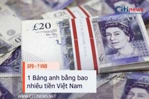 Tìm hiểu về tỷ giá quy đổi Bảng Anh sang tiền Việt Nam đồng