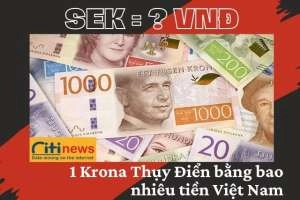 Chuyển đổi Krona Thụy Điển sang tiền Việt Nam theo tỷ giá mới nhất