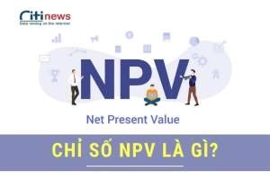 Chỉ số tài chính NPV là gì & Ý nghĩa của NPV trong tài chính
