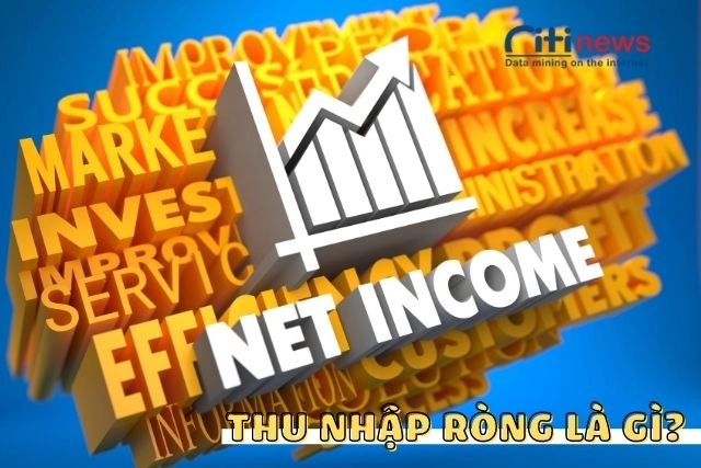 Thu Net Income là gì?
