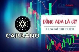 Cardano là đồng gì &amp; Những đặc điểm cơ bản của đồng ADA