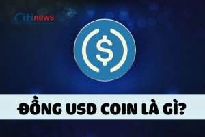 USDC là gì | Tỷ giá đồng USD coin là bao nhiêu?