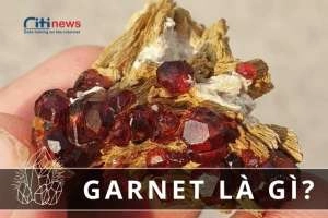 Đá Garnet là đá gì | Nó có đắt đỏ như lời đồn