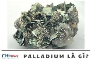Tìm hiểu về Palladium là kim loại gì & Giá của nó ở thời điểm hiện tại
