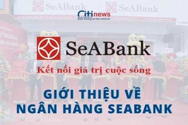 Ngân hàng SeABank là ngân hàng gì & Những điều chưa biết