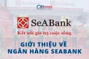 Ngân hàng SeABank là ngân hàng gì &amp; Những điều chưa biết