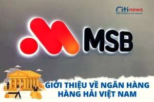 Ngân hàng MSB là ngân hàng gì Ngân hàng Hàng Hải có uy tín không?