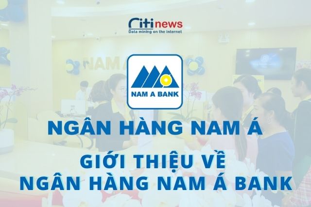 Giới thiệu về ngân hàng Nam Á cụ thể và chi tiết nhất