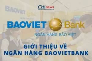 Ngân hàng Bảo Việt là ngân hàng gì | Có phải là ngân hàng tư nhân không