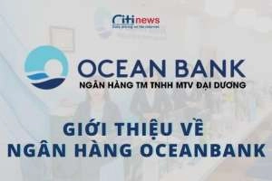 Ngân hàng Oceanbank là ngân hàng gì &amp; Dịch vụ Oceanbank có tốt không?