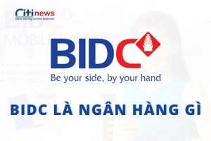 Giới thiệu về ngân hàng BIDC chi tiết từ A đến Z