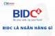 Giới thiệu về ngân hàng BIDC chi tiết từ A đến Z