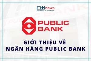 Ngân hàng Public Bank là ngân hàng gì | Chất lượng có tốt không?