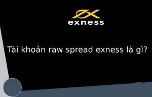 Tài khoản Raw Spread Exness là gì? Tài khoản Raw Spread có tốt không?