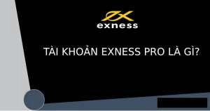 Tài khoản Exness Pro là gì? Tính năng nổi bật của Exness Pro