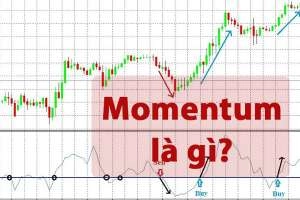 Momentum là gì? Hướng dẫn sử dụng chỉ báo Momentum hiệu quả