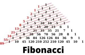 Fibonancci là gì? Có bao nhiêu loại? Ý nghĩa và ứng dụng như nào?