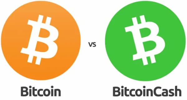 Sự Khác Nhau Giữa Bitcoin Và Bitcoin Cash - Nên Đầu Tư Coin Nào?