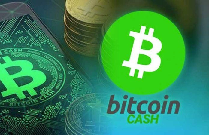 Đồng Bitcoin Cash (BCH)