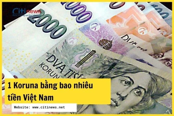 [TÌM HIỂU] Tỷ giá mới nhất khi đổi 1 Koruna bằng bao nhiêu tiền Việt Nam