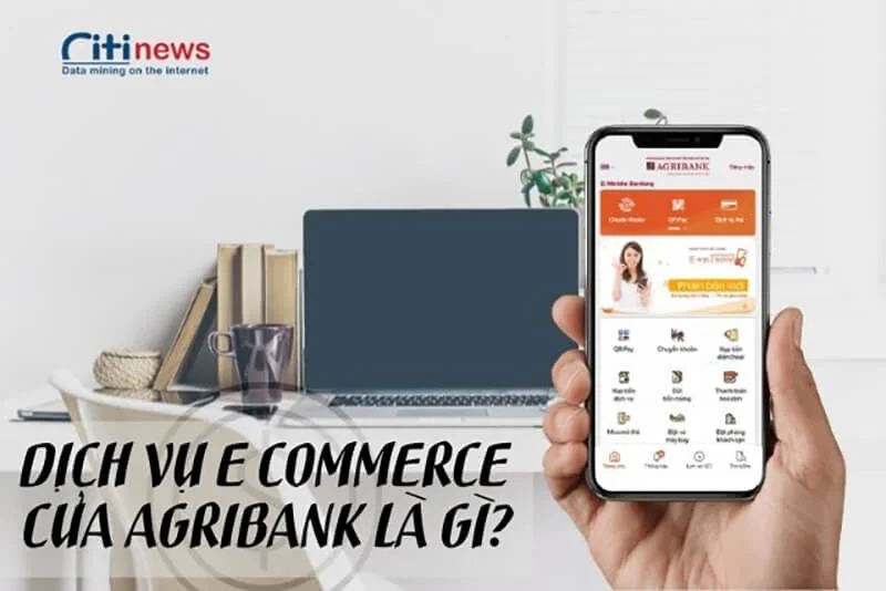 Dịch vụ E Commerce của Agribank là gì?