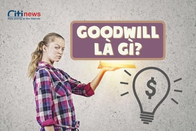 goodwill-la-gi-1